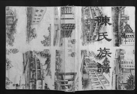 广西陈氏-陈氏族谱.pdf电子版
