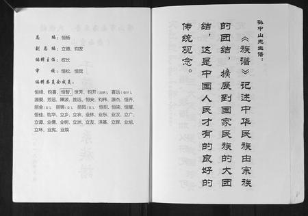 广西陈氏-陈氏族谱.pdf电子版插图2