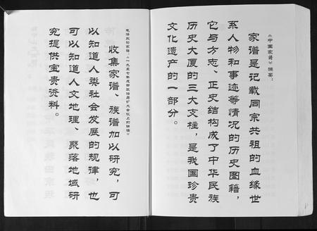 广西陈氏-陈氏族谱.pdf电子版插图3