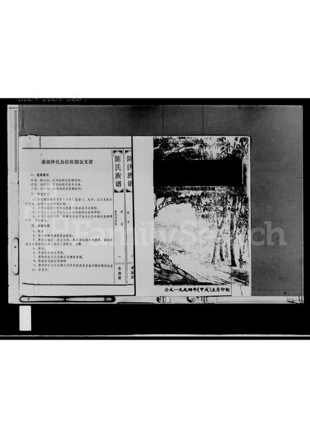 海南陈氏-陈氏族谱(别名：陈氏族谱).pdf电子版插图2
