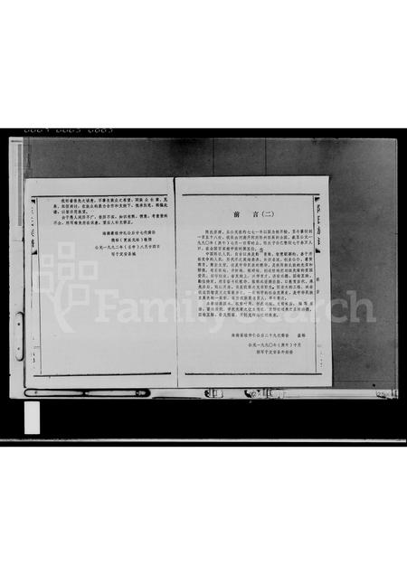 海南陈氏-陈氏族谱(别名：陈氏族谱).pdf电子版插图4