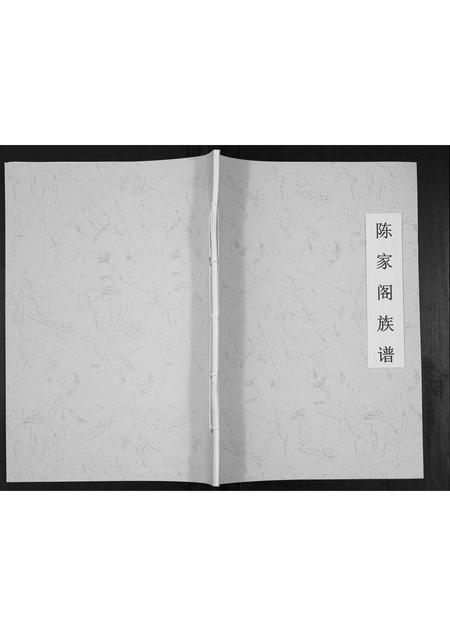 贵州陈氏-陈家阁族谱[不分卷].pdf电子版插图