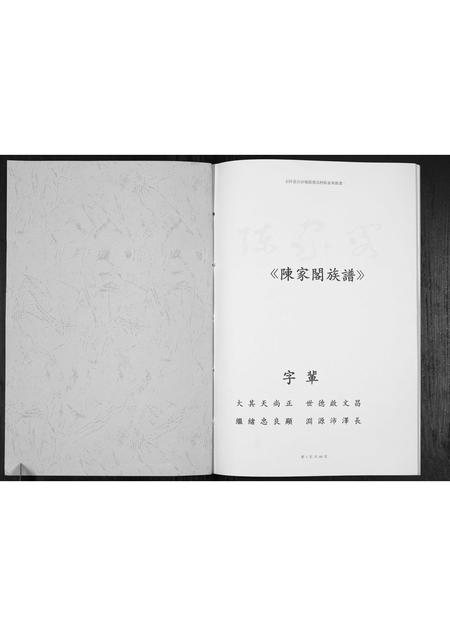 贵州陈氏-陈家阁族谱[不分卷].pdf电子版插图1
