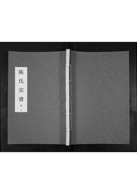 贵州陈氏-陈氏宗谱.pdf电子版插图