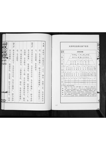 贵州陈氏-陈氏宗谱.pdf电子版插图3