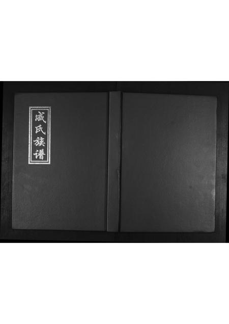 山东成氏-成氏族谱.pdf电子版