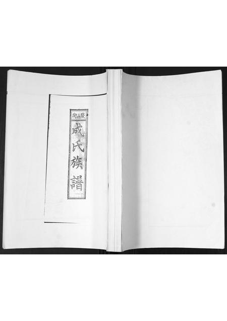 山东成氏-成氏族谱[不分卷].pdf电子版插图