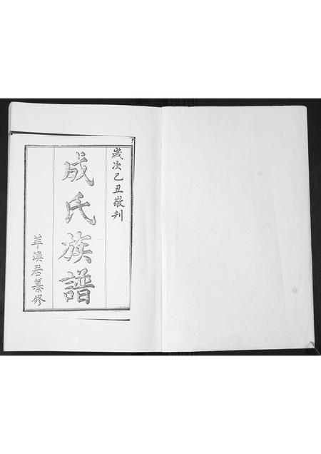 山东成氏-成氏族谱[不分卷].pdf电子版插图1