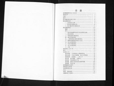 四川程氏-四川省灌县(都江堰市)程氏家谱.pdf电子版插图2