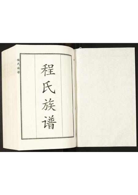 山东程氏-程氏族谱.pdf电子版插图1