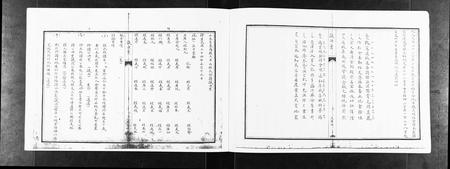 山东程氏-程氏族谱[不分卷].pdf电子版插图4