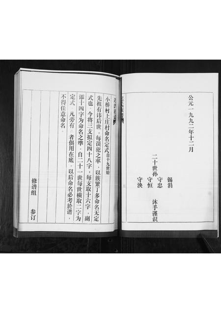 山东迟氏-迟氏族谱[2卷].pdf电子版插图5