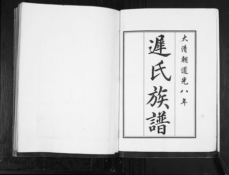 山东迟氏-迟氏族谱[2卷].pdf电子版插图1