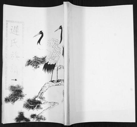 山东迟氏-迟氏族谱[4卷].pdf电子版插图