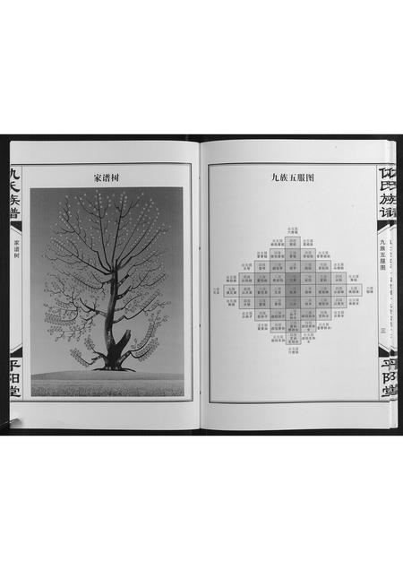 山东仇氏-仇氏族谱[不分卷].pdf电子版插图4
