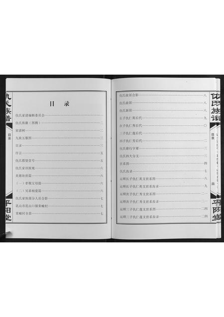 山东仇氏-仇氏族谱[不分卷].pdf电子版插图5