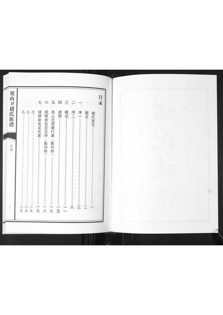 山东褚氏-鳌山卫褚氏族谱[不分卷].pdf电子版插图2