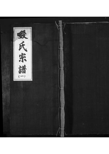山西啜氏-啜氏宗谱[1册].pdf电子版插图