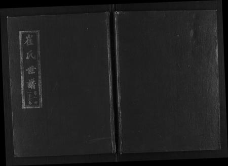 山东崔氏-崔氏世谱[12卷].pdf电子版