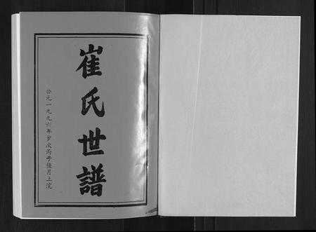 山东崔氏-崔氏世谱[12卷].pdf电子版插图1