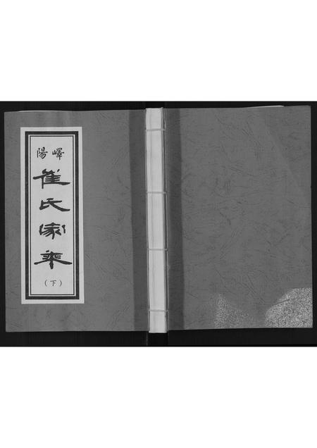 山东崔氏-崔氏家乘.pdf电子版插图 山东崔氏-崔氏家乘.pdf电子版插图