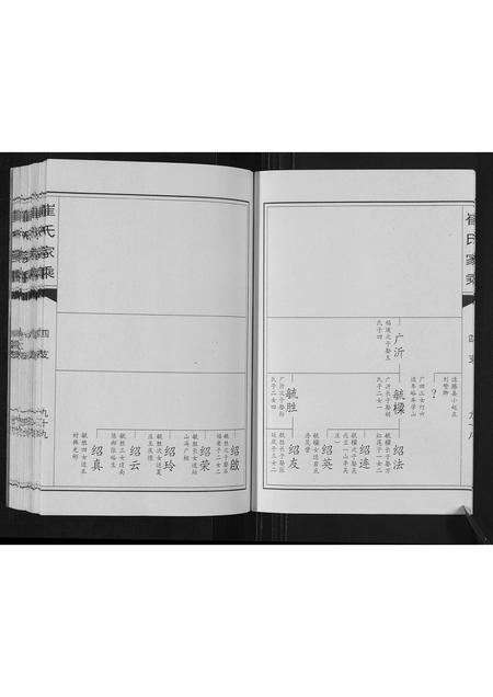 山东崔氏-崔氏家乘.pdf电子版插图3 山东崔氏-崔氏家乘.pdf电子版插图3