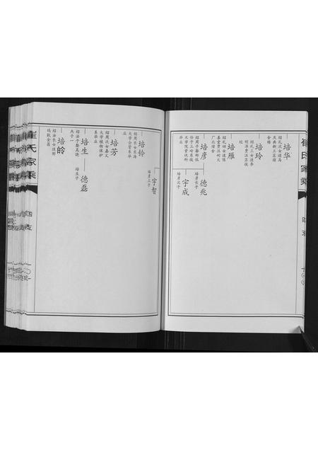 山东崔氏-崔氏家乘.pdf电子版插图5 山东崔氏-崔氏家乘.pdf电子版插图5