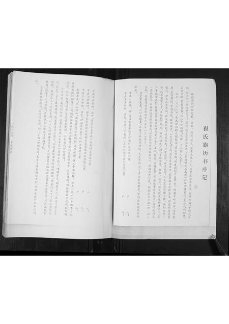 山东崔氏-崔氏族谱.pdf电子版插图1 山东崔氏-崔氏族谱.pdf电子版插图1