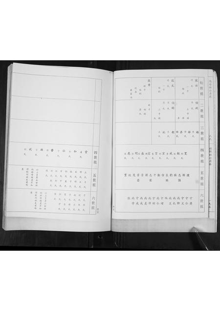 山东崔氏-崔氏族谱.pdf电子版插图5 山东崔氏-崔氏族谱.pdf电子版插图5