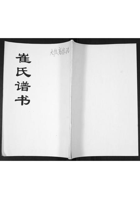 山东崔氏-崔氏族谱.pdf电子版插图 山东崔氏-崔氏族谱.pdf电子版插图