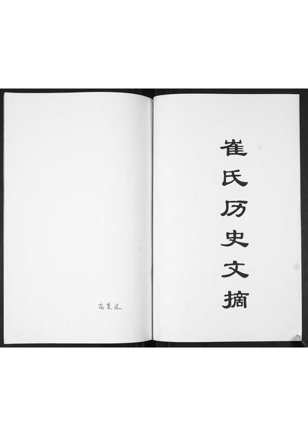 山东崔氏-崔氏族谱.pdf电子版插图1 山东崔氏-崔氏族谱.pdf电子版插图1