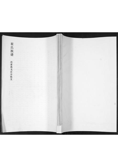 山东崔氏-崔氏族谱.pdf电子版插图 山东崔氏-崔氏族谱.pdf电子版插图