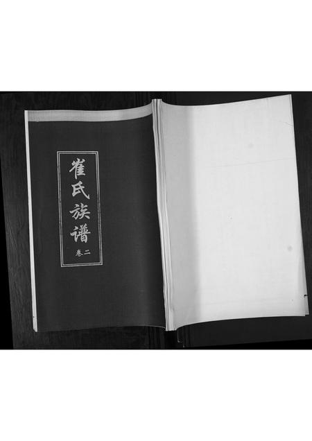 山东崔氏-崔氏族谱[2卷].pdf电子版