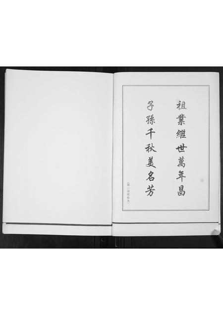 山东崔氏-崔氏族谱[2卷].pdf电子版插图2