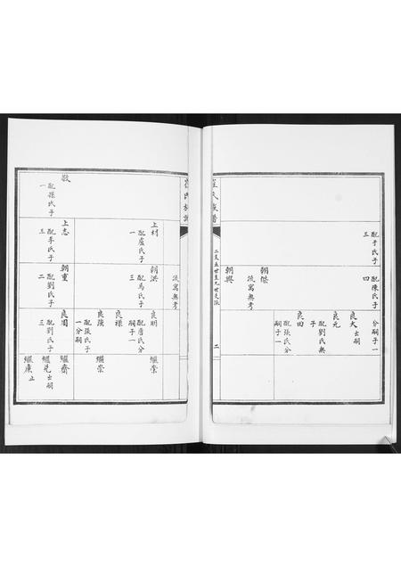 山东崔氏-崔氏族谱[2卷].pdf电子版插图4