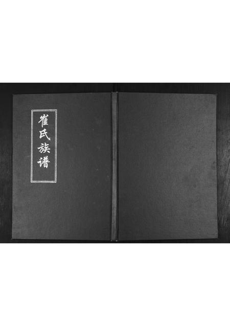 山东崔氏-崔氏族谱[不分卷].pdf电子版