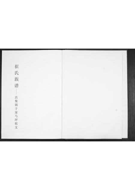 山东崔氏-崔氏族谱[不分卷].pdf电子版插图1