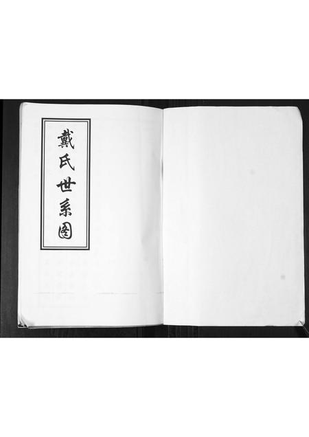 山东戴氏-戴氏世系图.pdf电子版插图1 山东戴氏-戴氏世系图.pdf电子版插图1