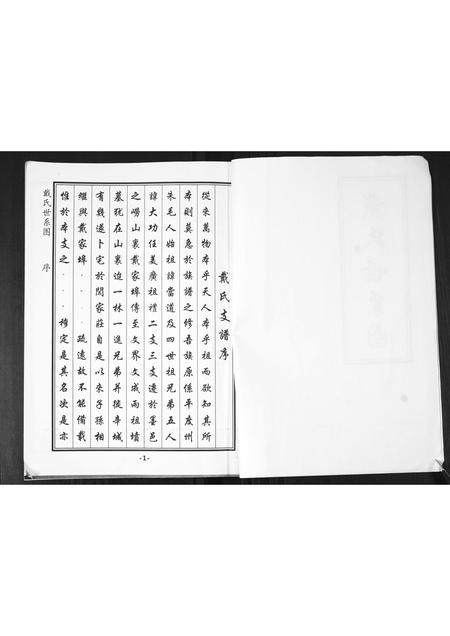 山东戴氏-戴氏世系图.pdf电子版插图2 山东戴氏-戴氏世系图.pdf电子版插图2