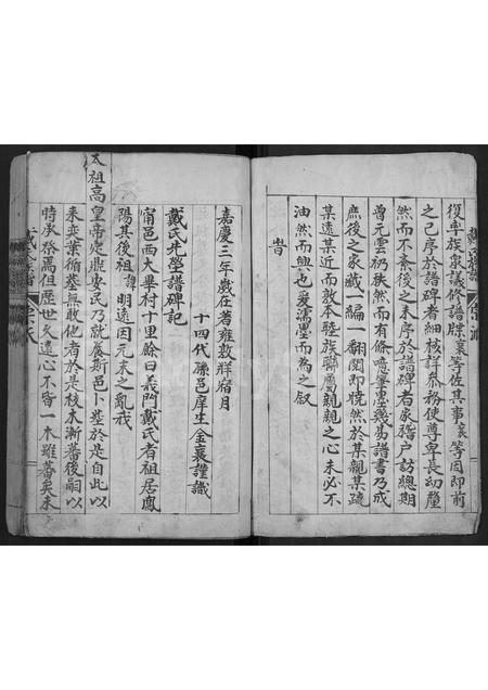 山东戴氏-戴氏族谱 [不分卷].pdf电子版插图3