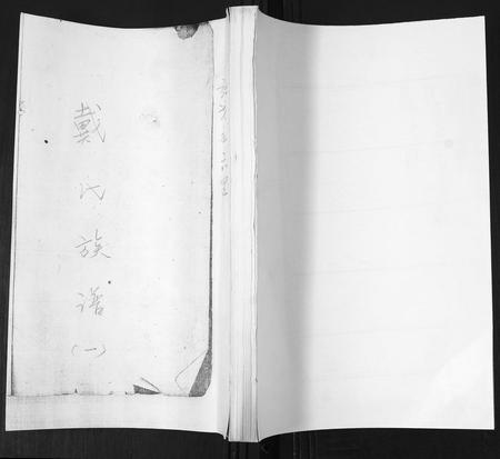 山东戴氏-戴氏族谱[不分卷].pdf电子版