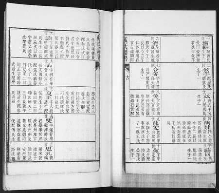 山东戴氏-戴氏族谱[不分卷].pdf电子版插图3