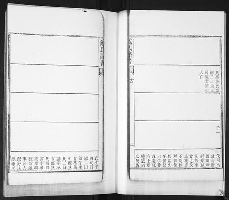 山东戴氏-戴氏族谱[不分卷].pdf电子版插图4