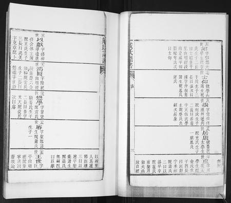 山东戴氏-戴氏族谱[不分卷].pdf电子版插图5