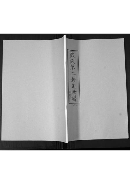 山东戴氏-戴氏第二老支世谱.pdf电子版