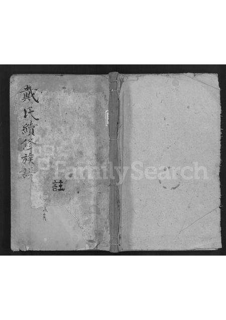 山东戴氏-戴氏续修族谱 [不分卷].pdf电子版