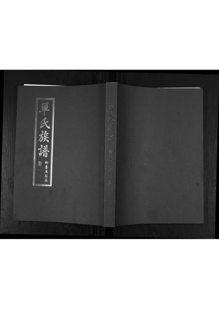 山东单氏-单氏族谱[2卷].pdf电子版