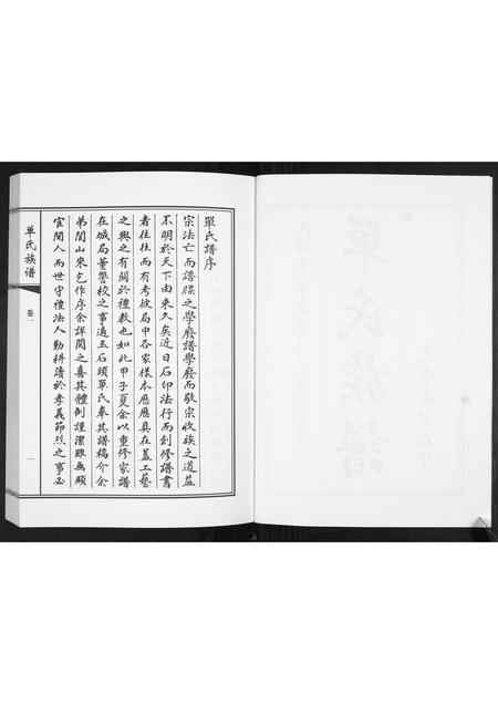 山东单氏-单氏族谱[2卷].pdf电子版插图3