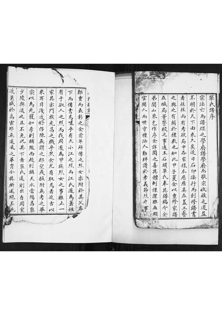 山东单氏-单氏族谱[不分卷].pdf电子版插图1