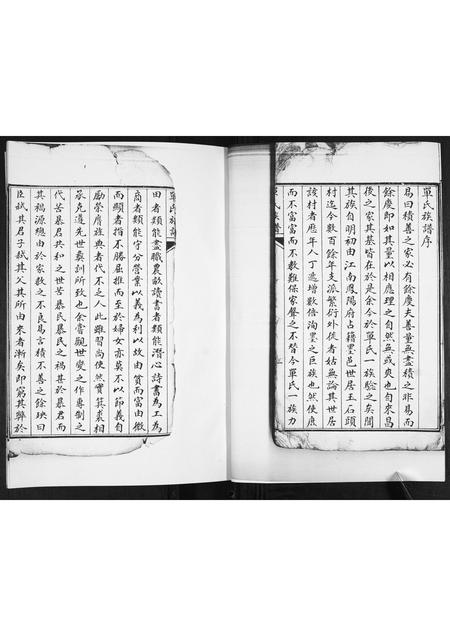 山东单氏-单氏族谱[不分卷].pdf电子版插图3